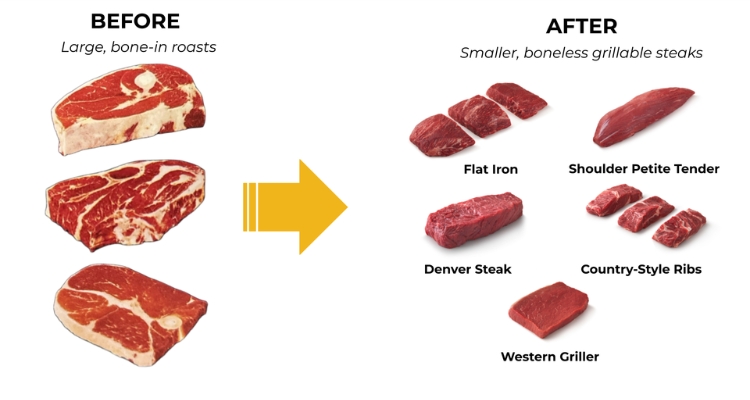 Muscle Profiling Results